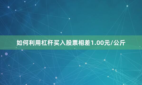 如何利用杠杆买入股票相差1.00元/公斤
