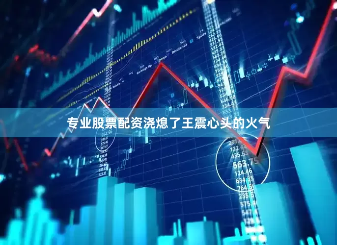 专业股票配资浇熄了王震心头的火气